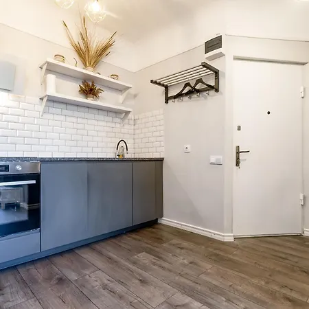 アパート Park View In Kraslavas Street