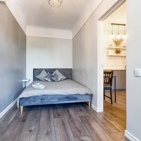 Park View In Kraslavas Street *